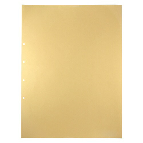 King Jim Deluxe Clear Pocket 107D A2S