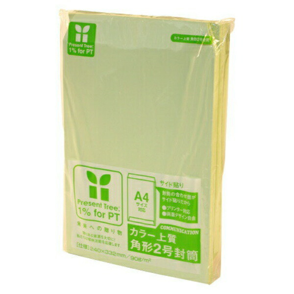 Premium Colored Envelopes (Side-Sealed) Size 2 100 Sheets 02163