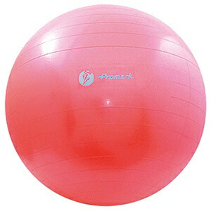 Sakurai Trading (SAKURAI) Promark Baseball Balance Ball Level 2 Supervised by Ryuji Tachibana 65cm TPT0268