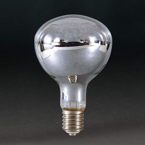 ESCO AC100V/300W Reflector Bulb EA814DF-103