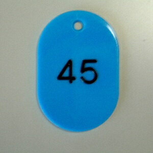 Number Tags, Oblong Shape, Styrene Material, Pre-printed Numbers (Sequential), 50 Tags per Set CR-BG41-SB