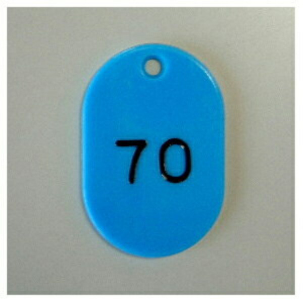 Number Tags, Oblong Shape, Styrene Material, Pre-printed Numbers (Sequential), 50 Tags per Set CR-BG42-SB
