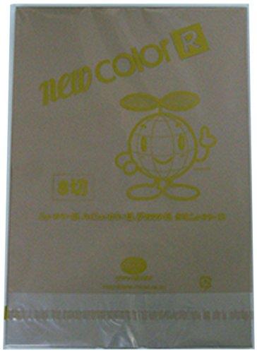 New Color R 8x10 Sheets, 100-Sheet Pack