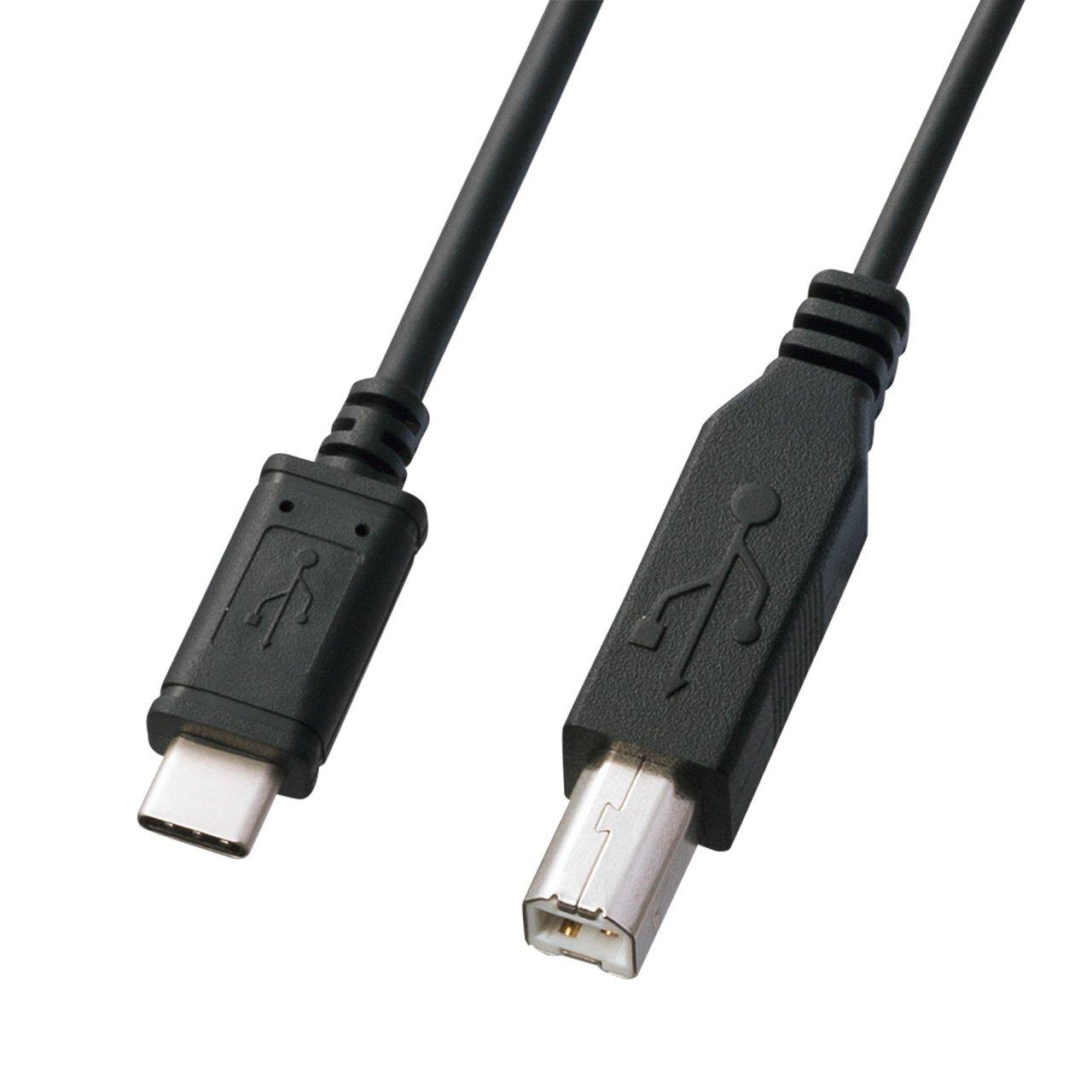 Sanwa Supply USB 2.0 Type-C to Type-B Cable 2m KU-CB20