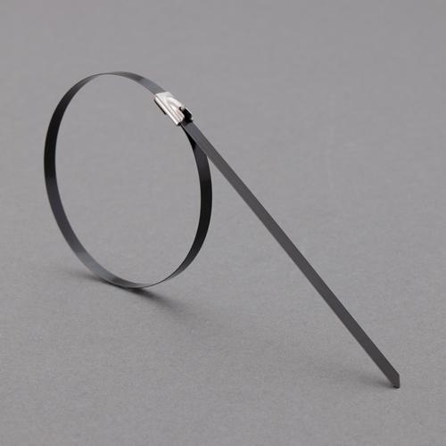 Esco 7.9x300mm Cable Tie (SUS316/Coated/10 pcs EA463FW-221)