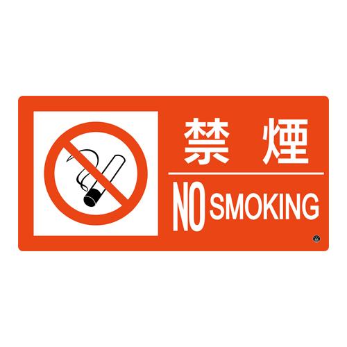 250x500mm No Smoking Sign