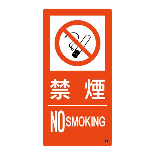 500x250mm No Smoking Sign