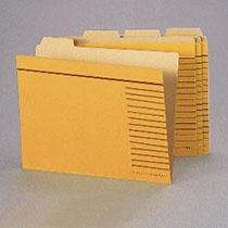 Lion Office Supplies Individual Folders Cut Type A4 20-Pack A4-4F-R-20P