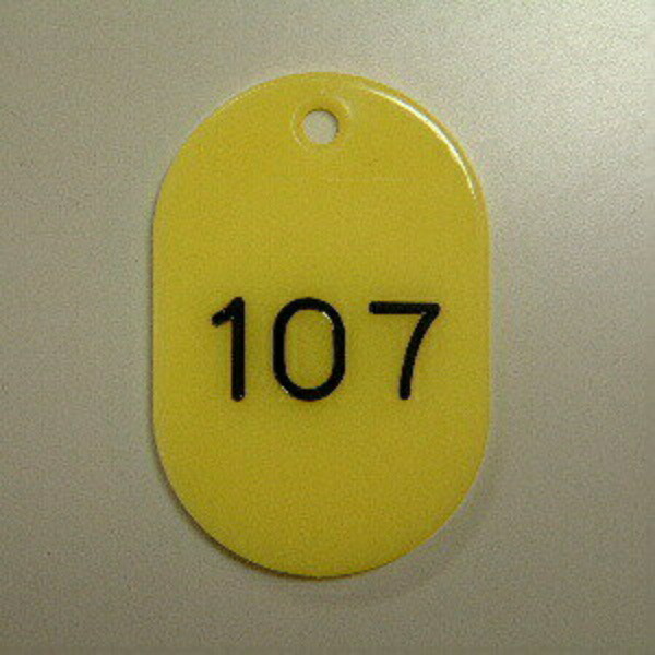 Number Tags, Oblong Shape, Styrene Material, Pre-printed Numbers (Sequential), 50 Tags per Set CR-BG43-Y