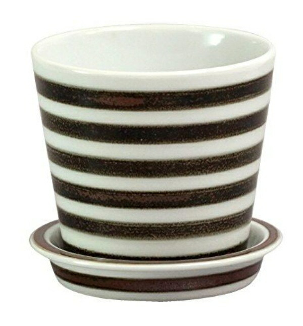 Saikaitoki Hasami Ware “essence” Table Pot (Plant Pot) Border Pattern Brown 13683