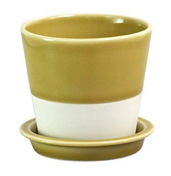 Saikaitoki Hasami Ware “essence” Table Pot (Plant Pot) Yellow Celadon Glaze 13685