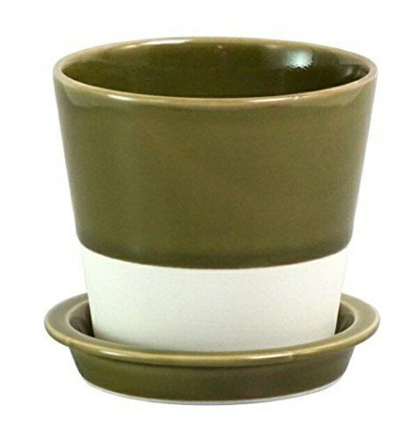 Saikaitoki Hasami Ware “essence” Table Pot (Plant Pot) Oribe Glaze Color 13686