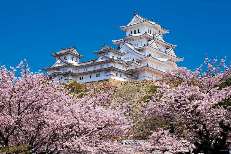 Yanoman 1000-Piece Jigsaw Puzzle: Japanese Scenery - Thousand Cherry Blossoms and Himeji Castle (Hyogo) (50x75cm) 10-1411 Includes: Piece Request Postcard, Glue, Spatula, Service Card, Jigsaw Puzzle Instructions