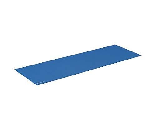 Danno Yoga Mat (Blue) D-6 School Equipment (d7219b) Select In Stock
