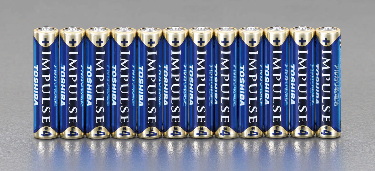 [12 AA batteries] Alkaline Dry Cell Batteries (IMPULSE)