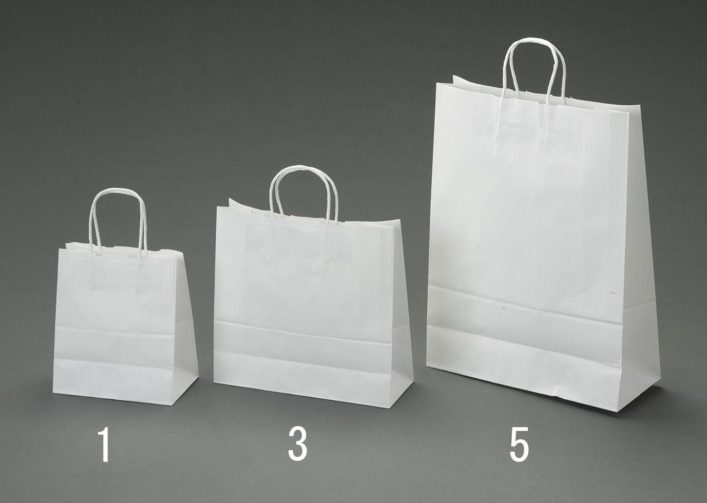 ESCO Paper Bags, Plain White/50 Sheets, 210×120×250mm EA927SA-1