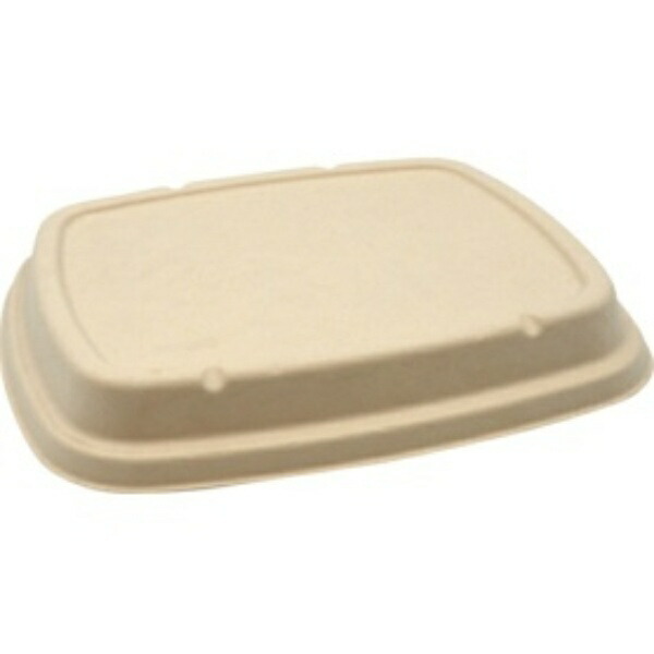 Pack Style BB Bamboo Bagasse Lunch Box N24-20F with Lid 245×205×H18mm 1 pack (50 sheets)