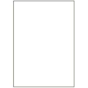 Hisago FSC® Certified Multi-Printer Forms Carbonless Copy Type A3 No Carbon Blank Paper FSCF3000