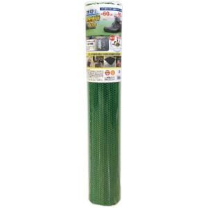 Carboy Water-Resistant Anti-Slip Mat for Wet Areas, Drainage Safety Walking Mat, 60cm x 90cm, Green