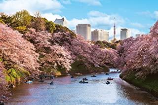 Yanoman 1000-Piece Jigsaw Puzzle: Japanese Scenery - Cherry Blossom Viewing at Chidorigafuchi (Tokyo) (50x75cm) 10-1436 Includes: Piece Request Postcard, Glue, Spatula, Service Card, Jigsaw Puzzle Instructions