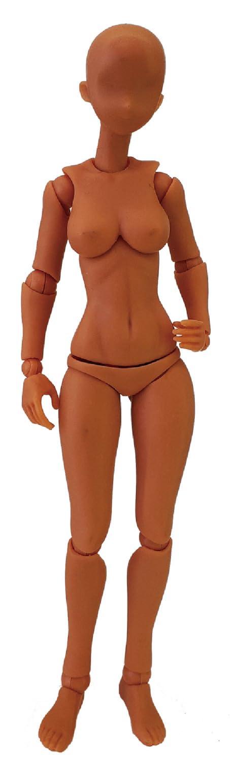 Hobby Base 1/12 Premium Parts Collection Joint Technique EX Material-chan M Brown Hobby Material PPC-T139