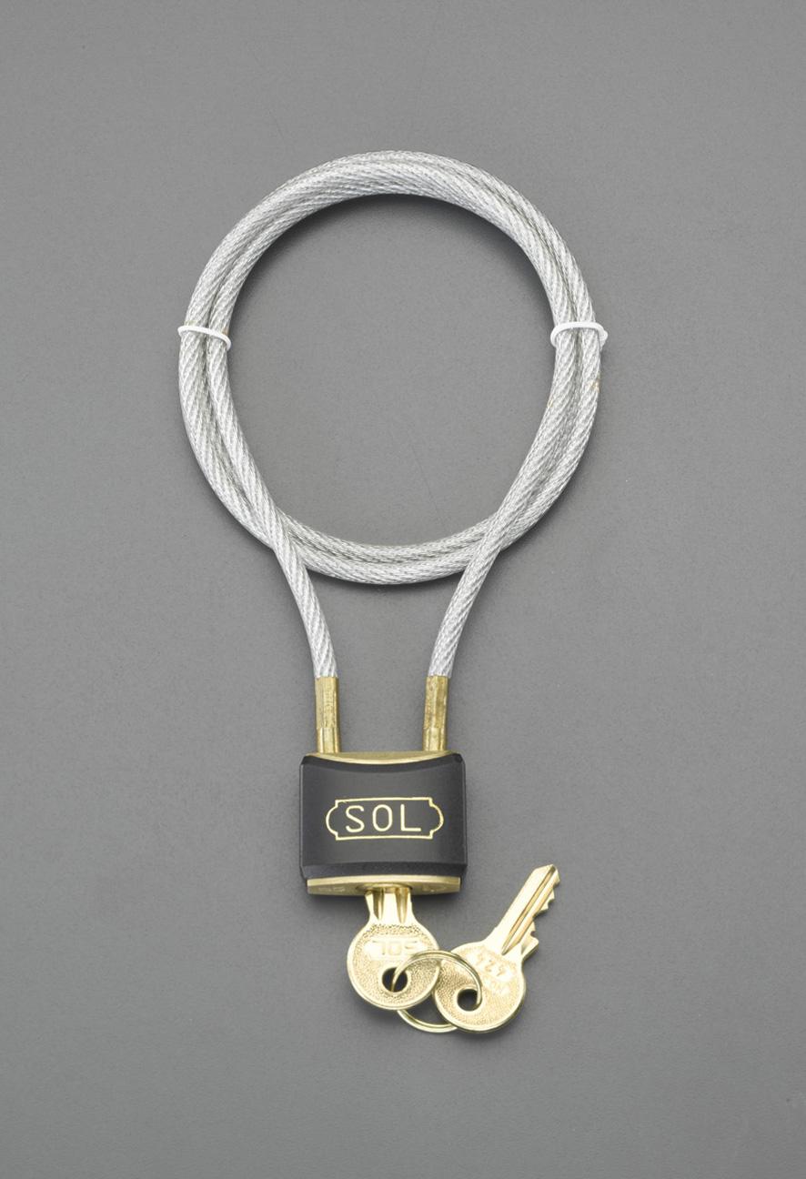 750mm Wire Lock EA983TT-151