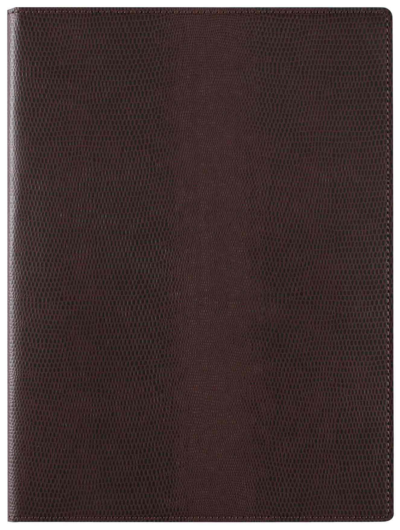Reimei Fujii Notebook Pad Zeitvektor A5 Dark Brown ZVP203E