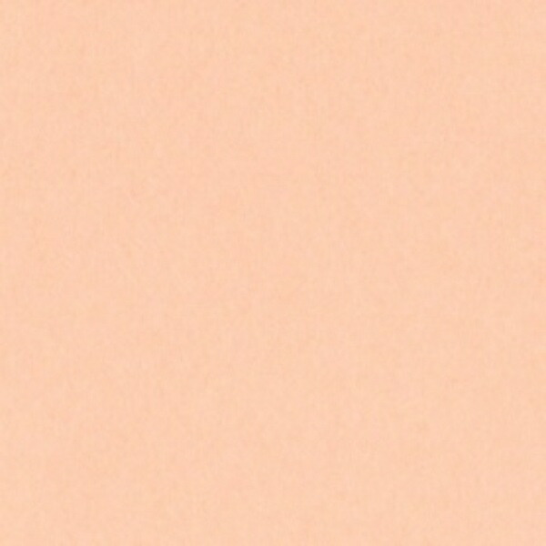 Lintec GOKURA New Color R 4-cut 100 sheets Skin Color NO103