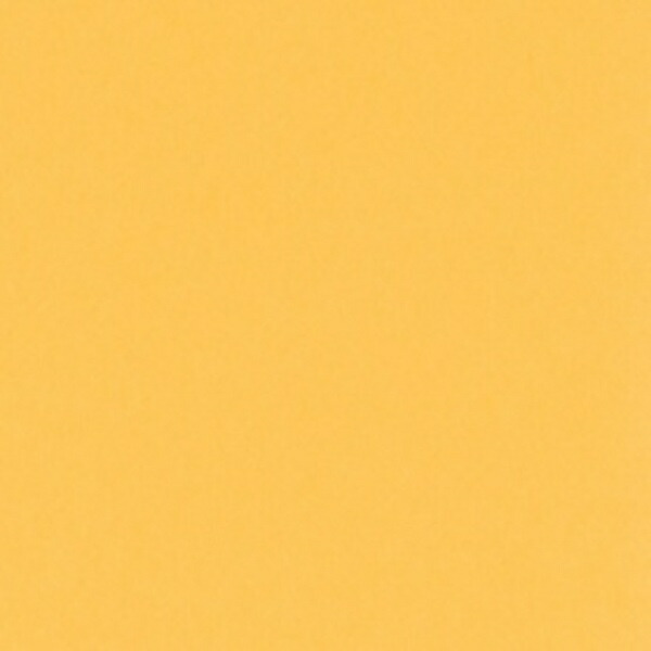 Lintec GOKURA New Color R 4-cut 100 sheets Mikan NO237