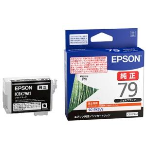 Epson Genuine Ink Cartridge Bamboo ICBK79A1 Photo Black