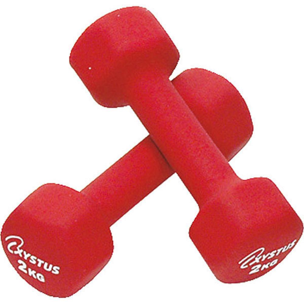 TOEI LIGHT XYSTUS Rubber-Coated Dumbbell 2 H9060 2kg Pair Set Surface Rubber Coating Red