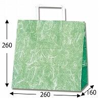 Heyko Handle Paper Bag Flat Handle H25CB E Unryu Green 26x16x26cm 50 Sheets