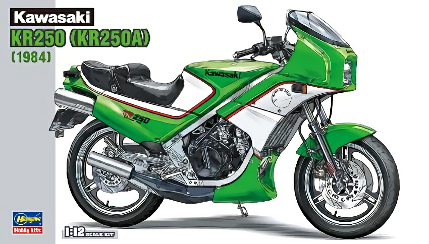 Hasegawa 1/12 Scale Bike Series Kawasaki KR250 (KR250A) Plastic Model Kit BK12