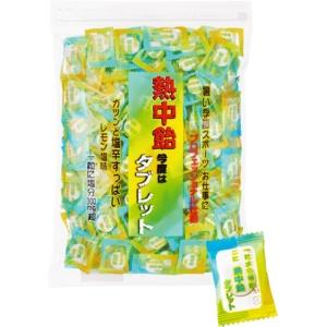 Iseki Foods Hot Candy Tablets Commercial Use 620g