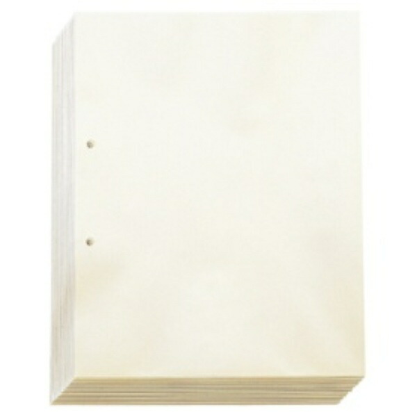 Kingjim Transparent Pocket 103-100 A4S 100-Sheet Pack