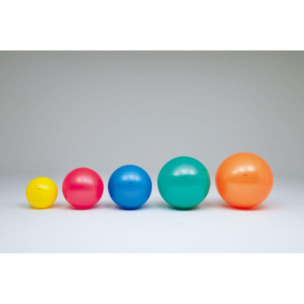 TOEI LIGHT Body Ball 55 H7261