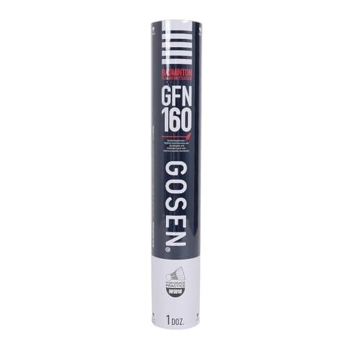 GFN160