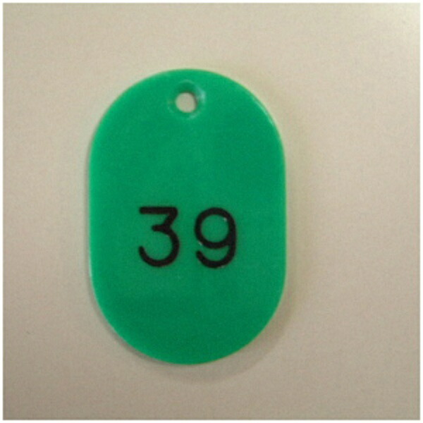 Numbered Ticket Holder 2-Digit Number Green 1–100