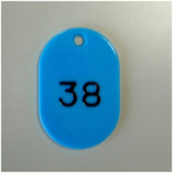 Number Tags, Oblong Shape, Styrene Material, Pre-printed Numbers (Sequential), 100 Tags per Set CR-BG31-SB