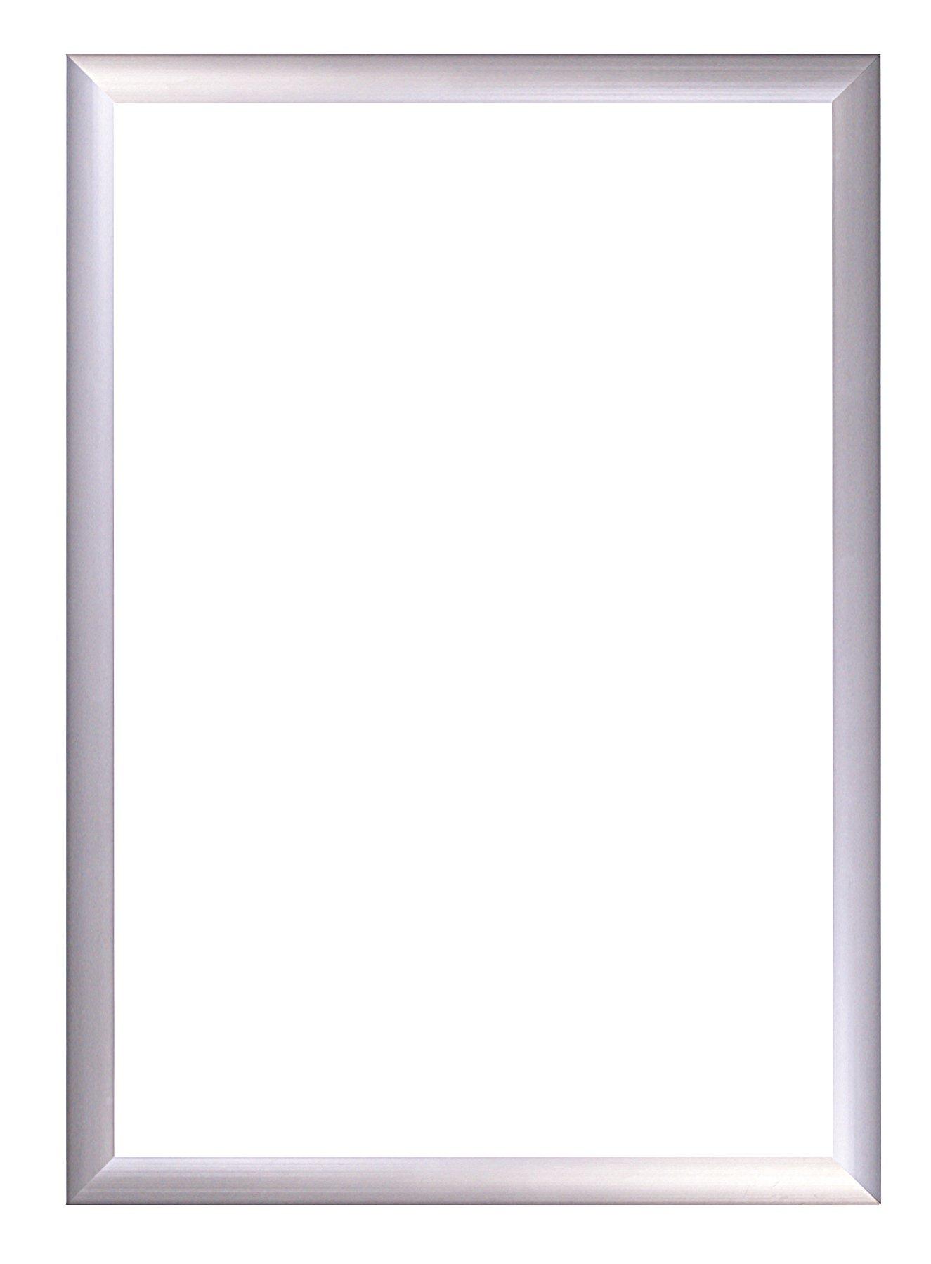 Arte Aluminum Frame Flapper VP-A2-SV A2 Size