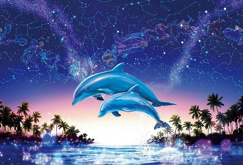 Beverly 1000-Piece Jigsaw Puzzle: Starry Ocean ~Zodiac Constellations~ (49×72 cm) 81-132