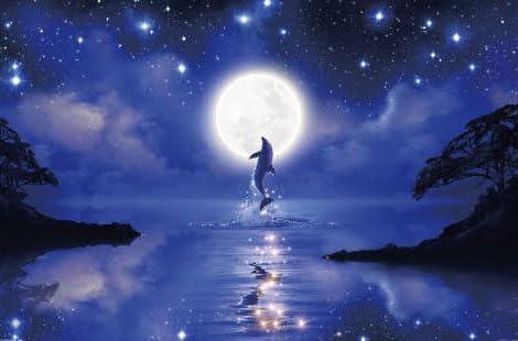 Yanoman 1000-Piece Jigsaw Puzzle LASSEN Dreaming Night (50x75cm) 10-1447 Includes: Piece Request Postcard, Glue, Spatula, Service Card, Jigsaw Puzzle Instructions