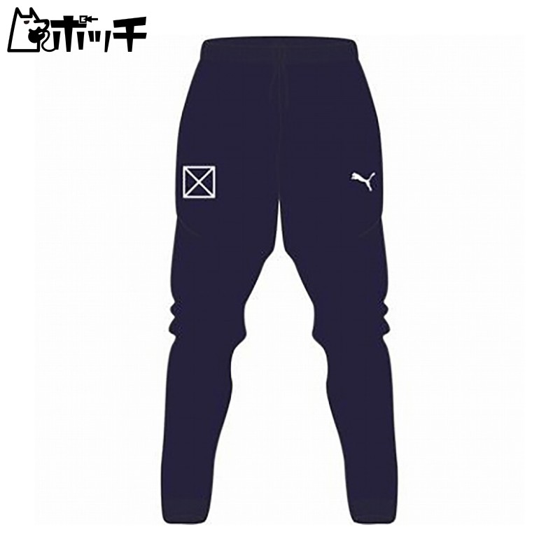 [PUMA] Quick-Dry Jersey Pants TEAMRISE Training Pants Men's 2024 Fall/Winter Color Peacoat White (06) L