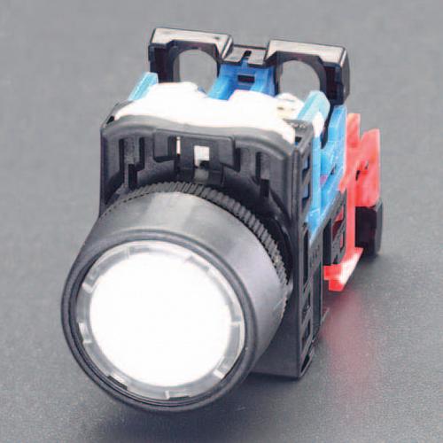 22/25mm Push Button Switch (LED/White)