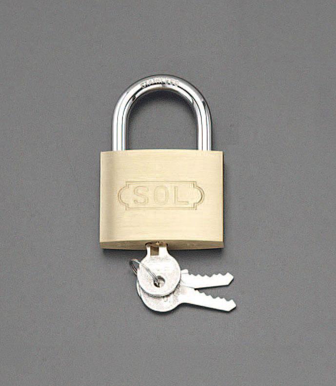 ESCO 50mm Cylinder Lock (Stainless Steel Handle/Single Key) EA983TC-156