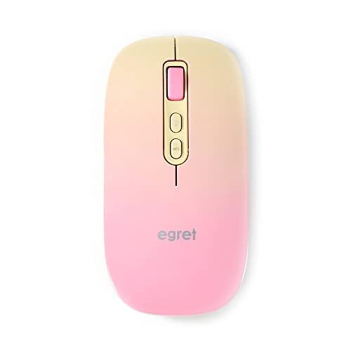 Business Harmony EGRET PrettiE Stylish and High-Performance Rechargeable Wireless Mouse Mizu-Kaki EM23-P2