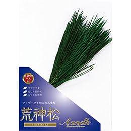 A&K Kanto-Style Kojin Pine Made with Domestic Pine Size M KKJ-02M
