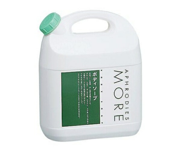 Iwatani Rika Aphrodies MORE Body Soap 4L AMBD-4 1 box