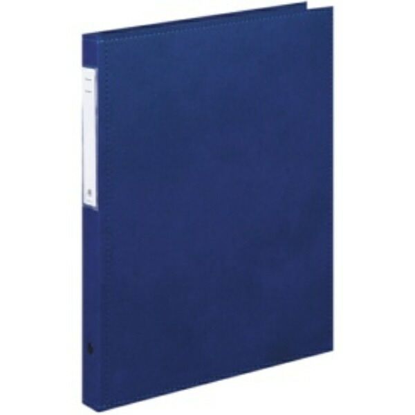 Rihitorabu Chart File Chart Book Standard Type A4 2-Hole Blue HB406-1