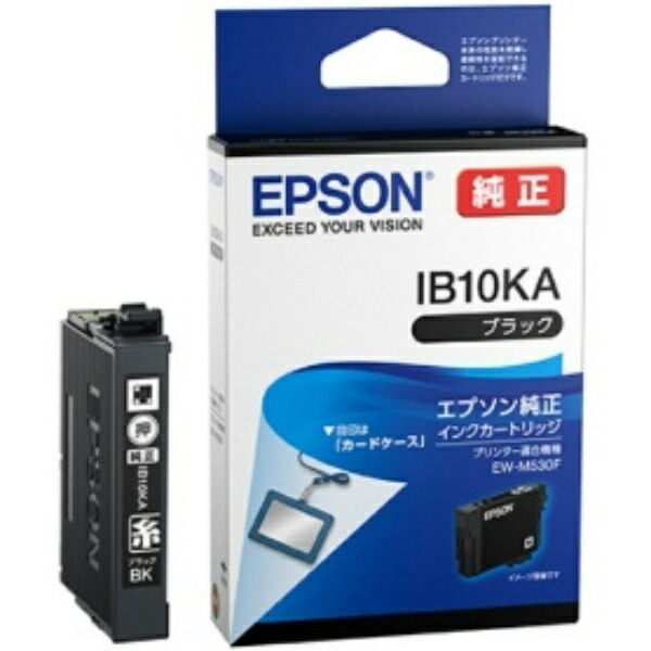 Epson Ink Cartridge Black IB10KA 1 piece
